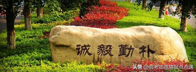 浙江工商大学优势专业分析及2019、2018、2017年各省录取分数线