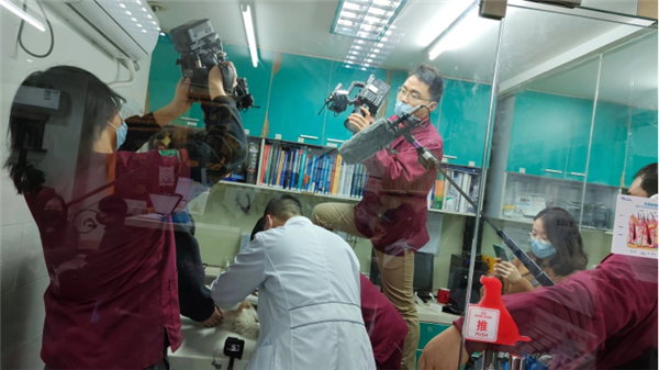 所有生命都值得温柔对待，《宠物医院3》温馨收官