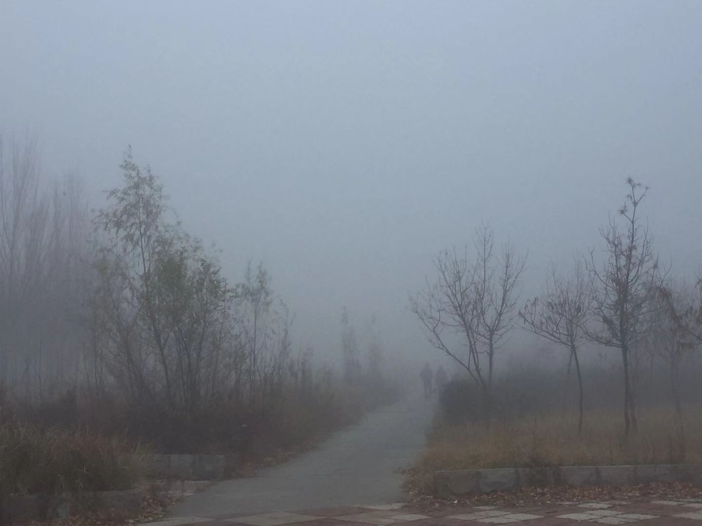 打油一组 晨雾袅袅烟色深，蒙蒙沌沌似黄昏