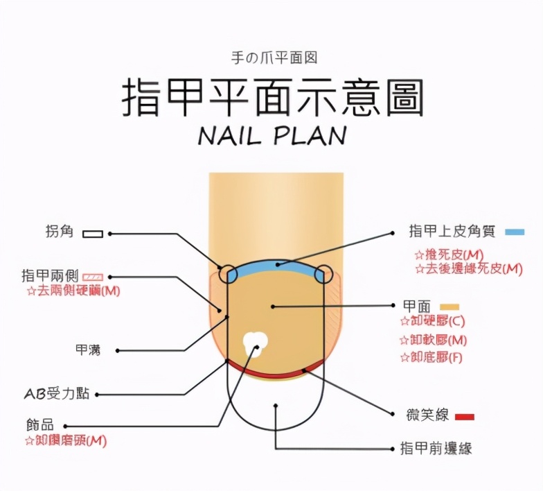 经常做指甲的你对自己的指甲了解多少呢？