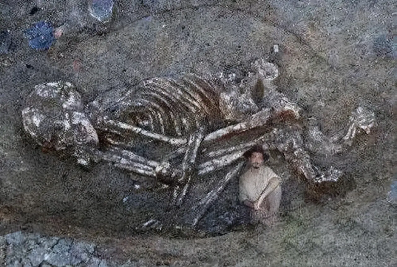 科学家不敢公开的发现（世界上曾有5米高的巨人）