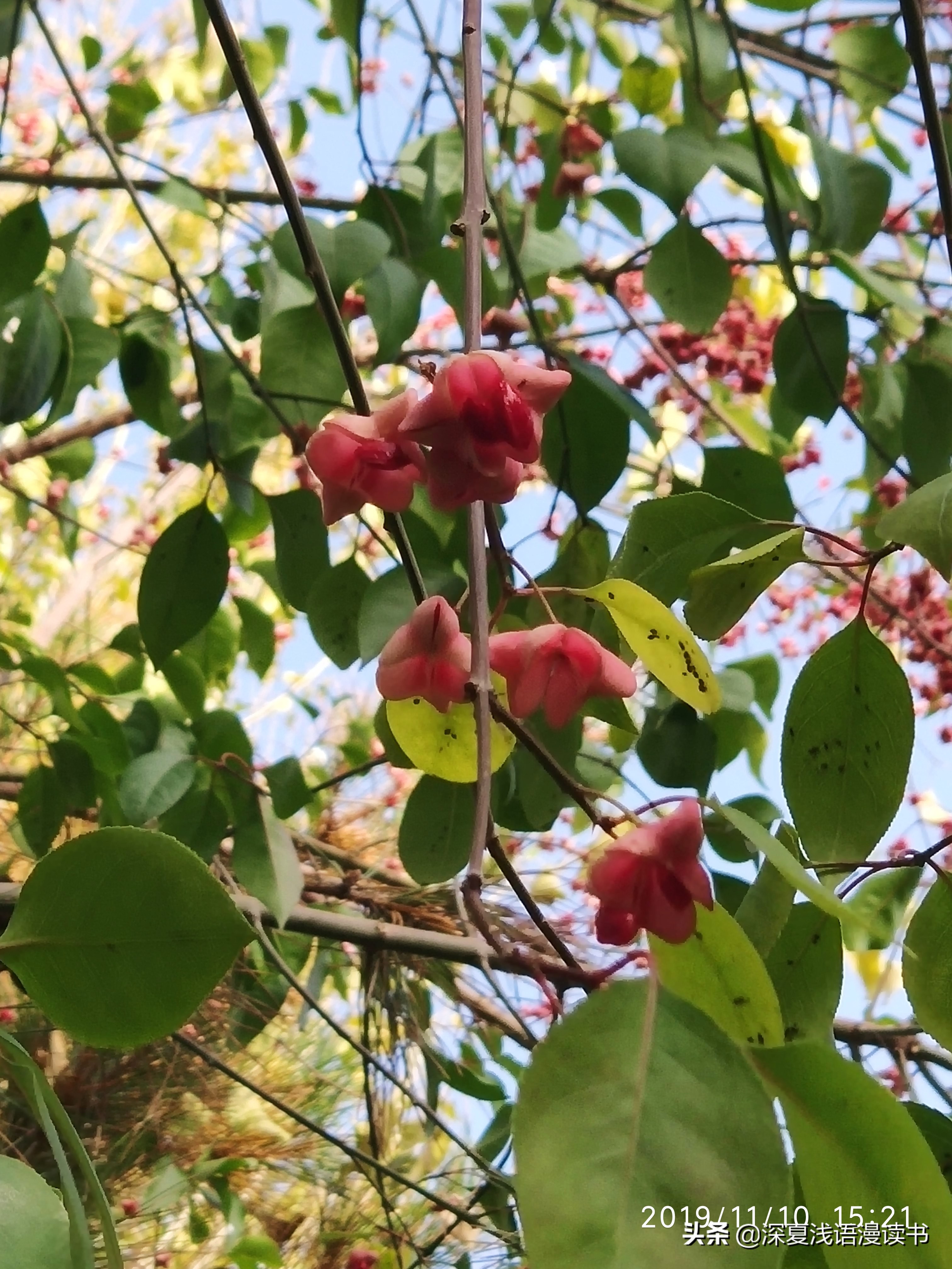 高中记6：开学一个月消费记录，花钱如流水的高中生活