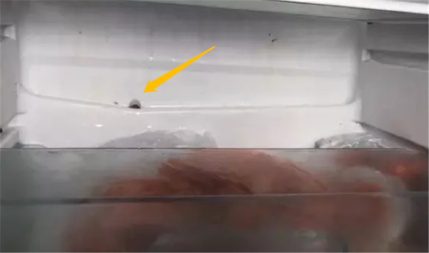 想让冰箱多用几年，这1孔1缝隙要及时清理，一年还能省不少电费