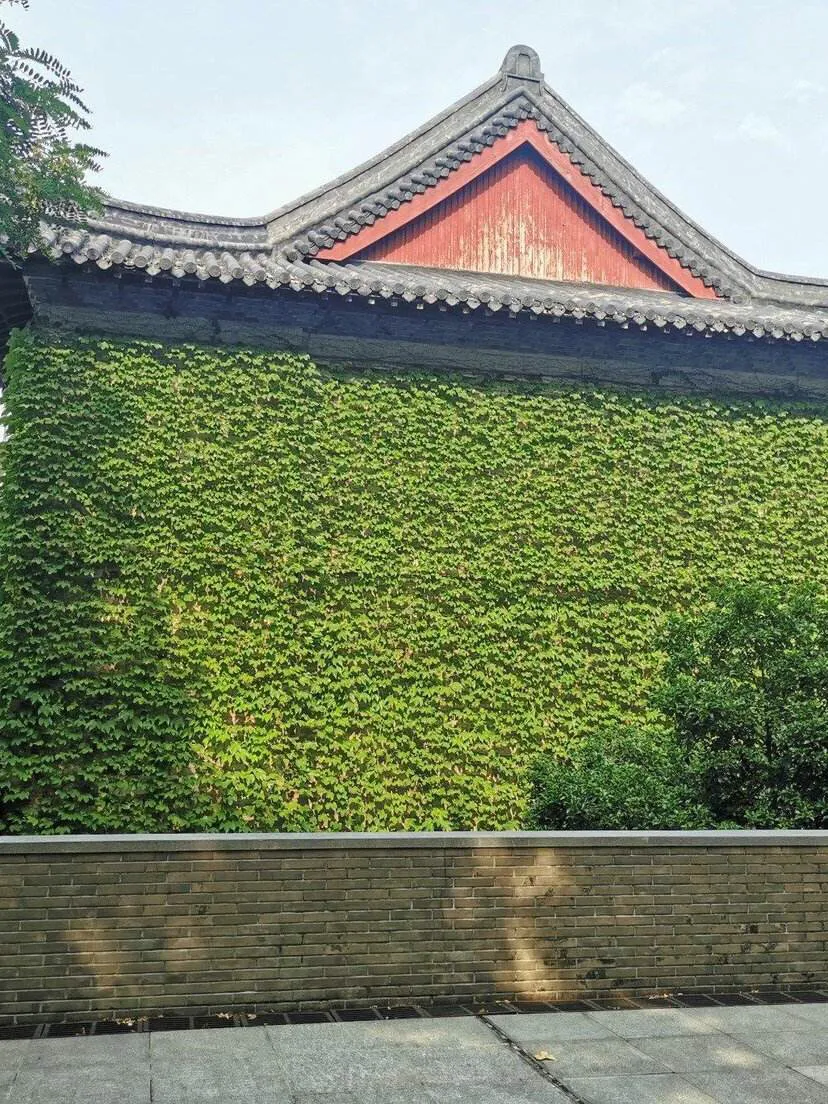 “青云计划”大学纵览4—南京大学