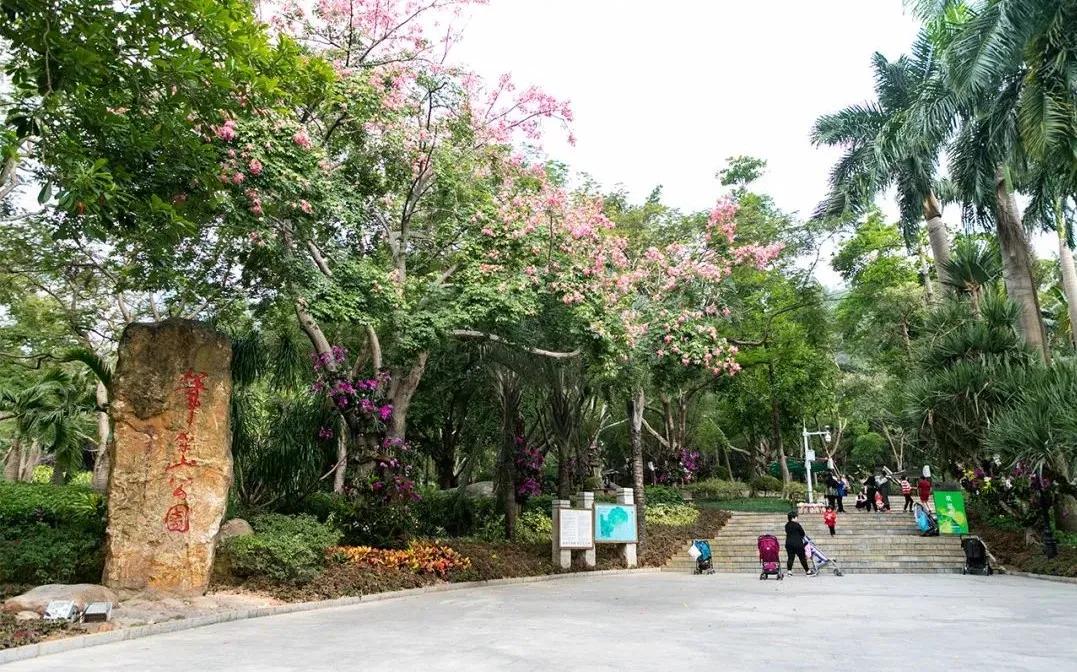 深圳值得征服的10座山，你去过几座？
