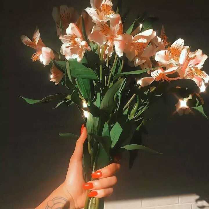 那些看一眼就想保存的惊艳文案