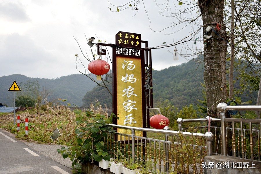 田野上團(tuán)隊(duì)下鄉(xiāng)小記丨走進(jìn)省級美麗鄉(xiāng)村示范村—分鄉(xiāng)鎮(zhèn)百里荒村