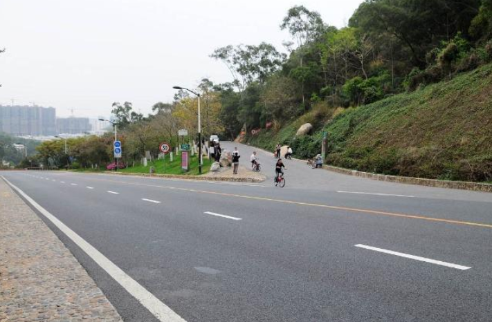 厦门怪坡在哪里(打卡厦门文曾路怪坡，东西从坡底滚到坡顶，其实是眼睛欺骗了自己)