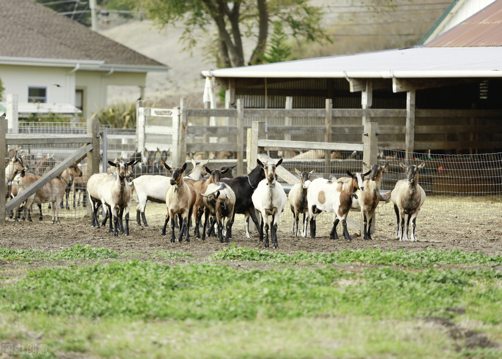 家庭农场注册条件（养殖场办手续）