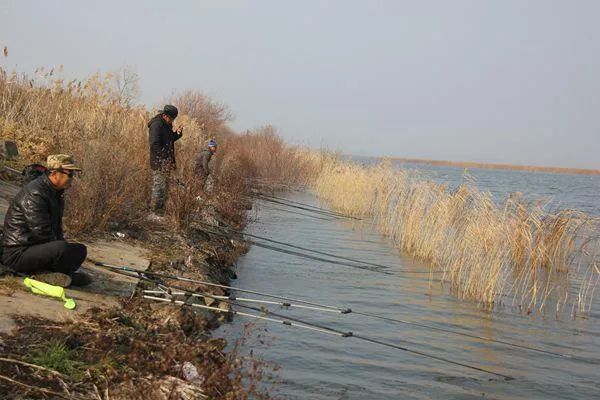 最全淡水水域釣魚技巧攻略大全