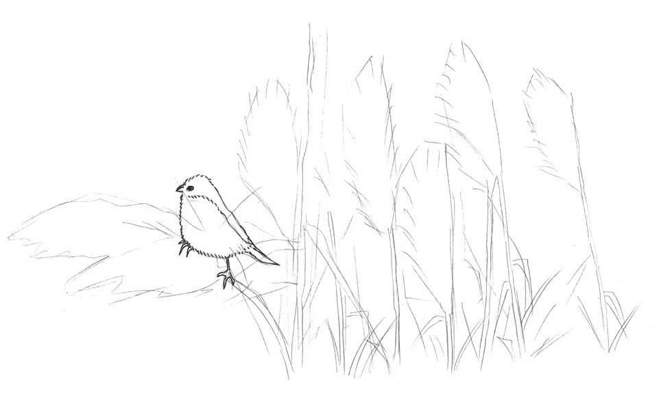 听说你不会画芦苇钢笔画，视界教你画芦苇，简单易学，快来临摹