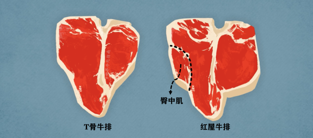 t骨牛排是哪两块肉,t骨牛肉的特点 - 千梦