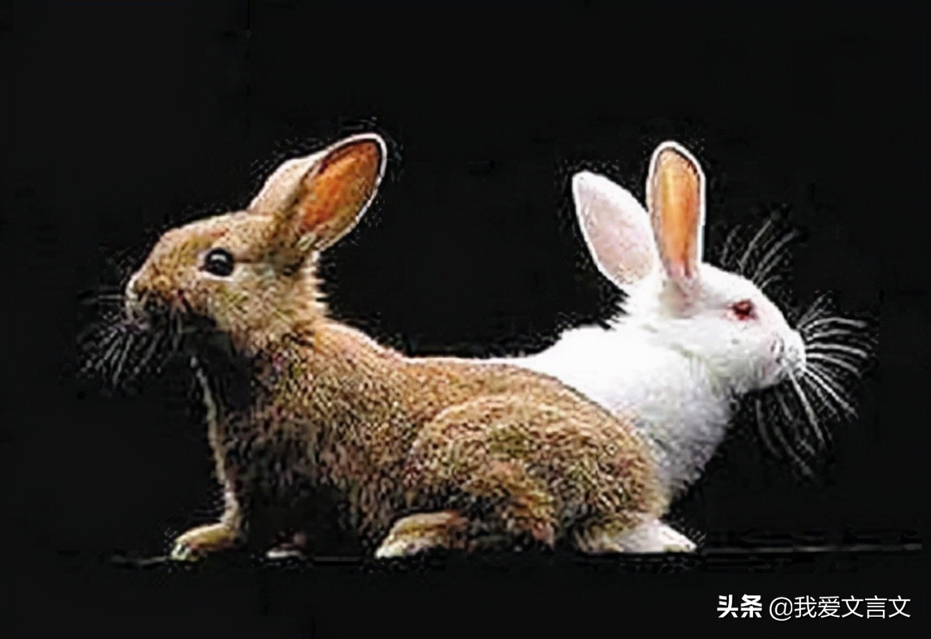 重温经典 | 长篇叙事诗《木兰诗》