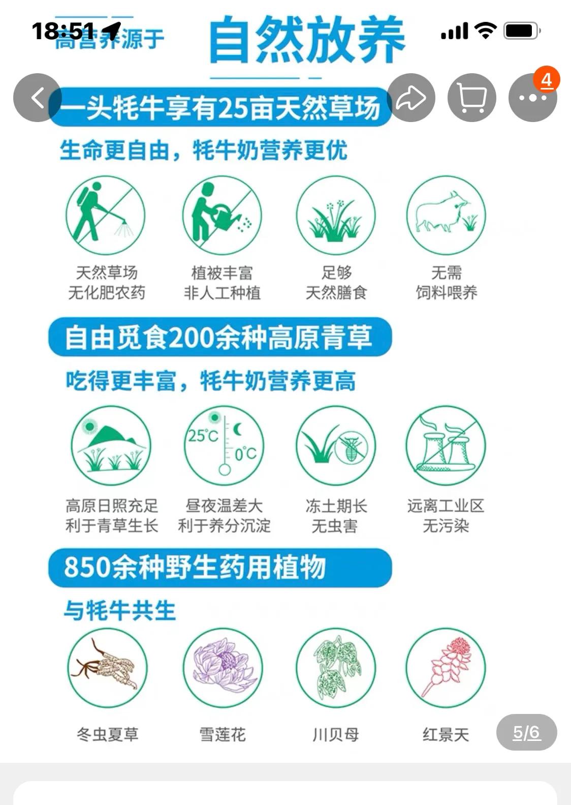 四川阿坝州红原县的牦牛奶，美味而且营养丰富