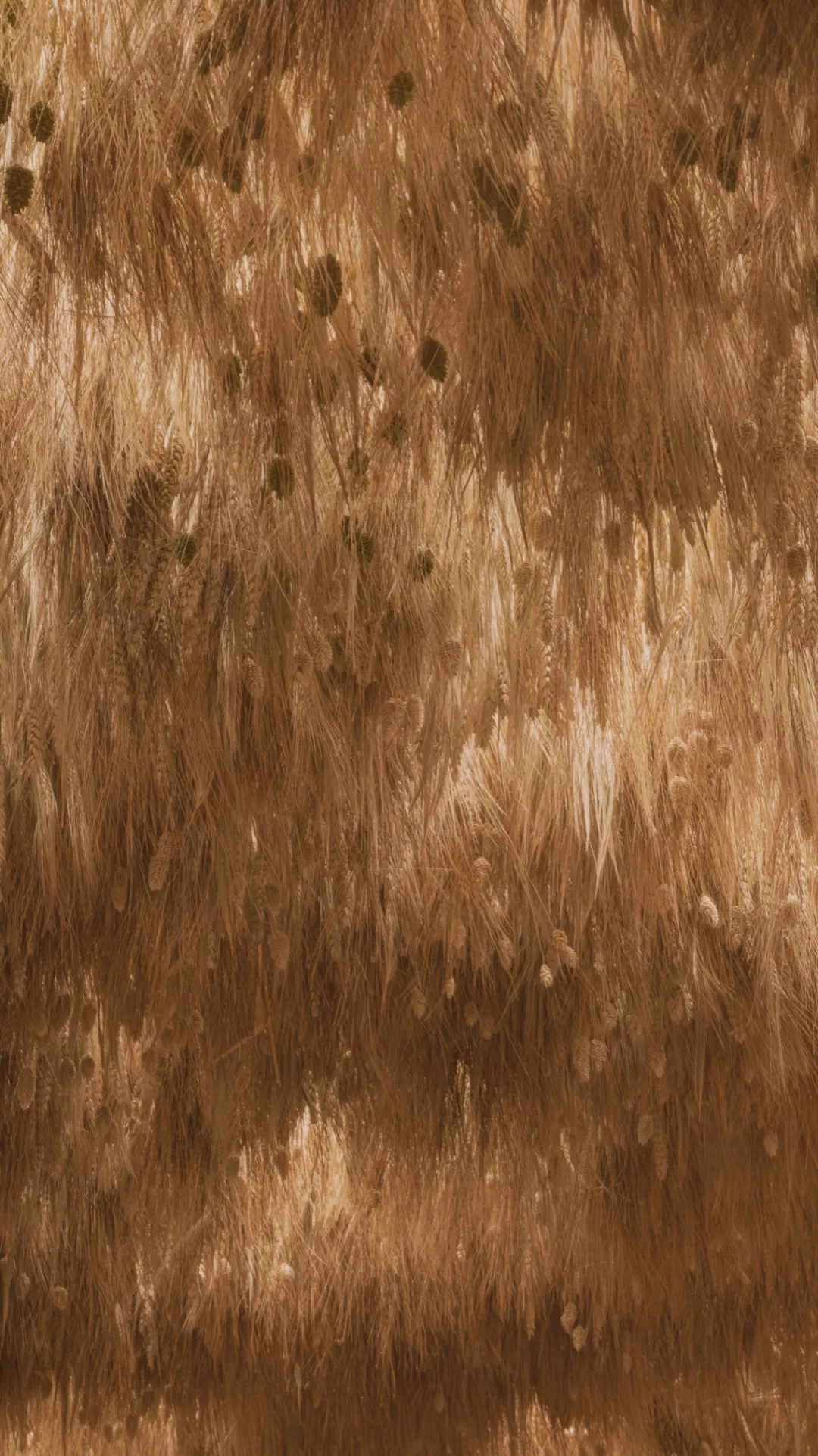 年轻人都爱的「大保健」，店该怎样设计？