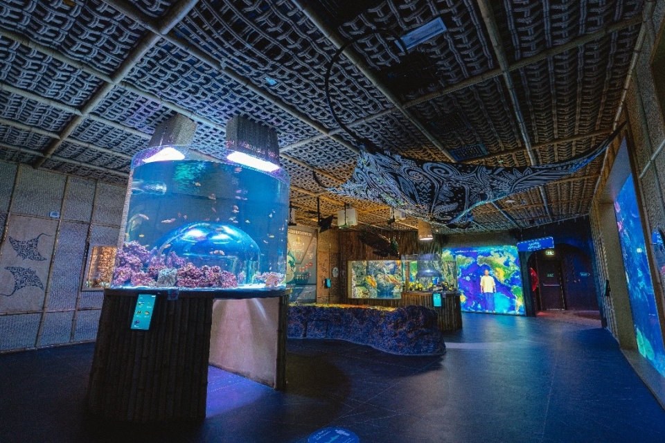 中东最大水族馆——阿布扎比国家水族馆正式开放