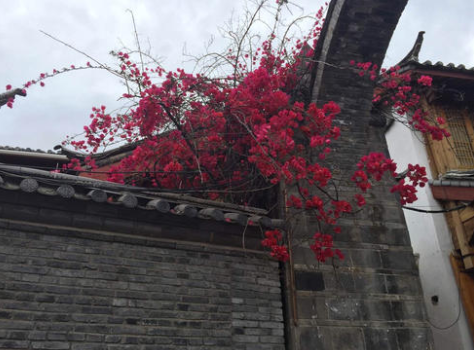 叶绍翁最经典的1首诗，都以为是写景诗，真正理解的没有几人