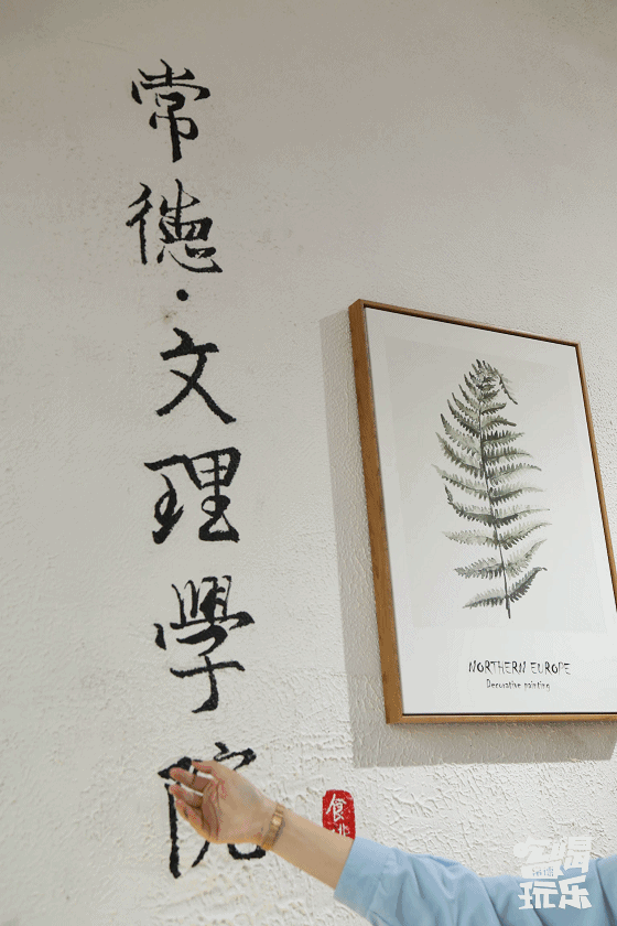 常德高校周边美食，10块钱喂饱你的青春