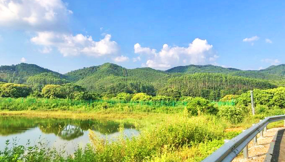 廣東深圳寶安區北端的一個街道,有地鐵站,卻以其他街道命名