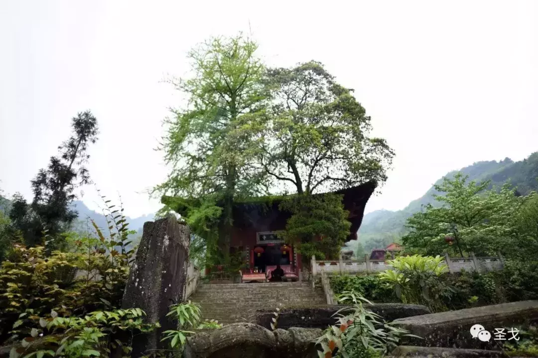 成都大邑霧中山開化寺旅遊攻略