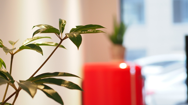 年初第一大料！2020杭州画室寒假班最新排名