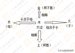 五行相乘相侮示意图图片