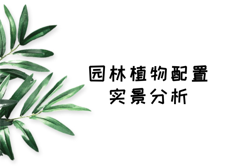 景观植物配置没头绪?让100张植物配置实景来帮你,如此简单