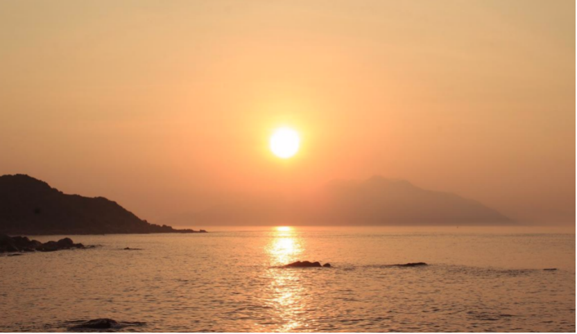 高考仅385的她，却被世界500强争抢，专科生是如何逆袭的？