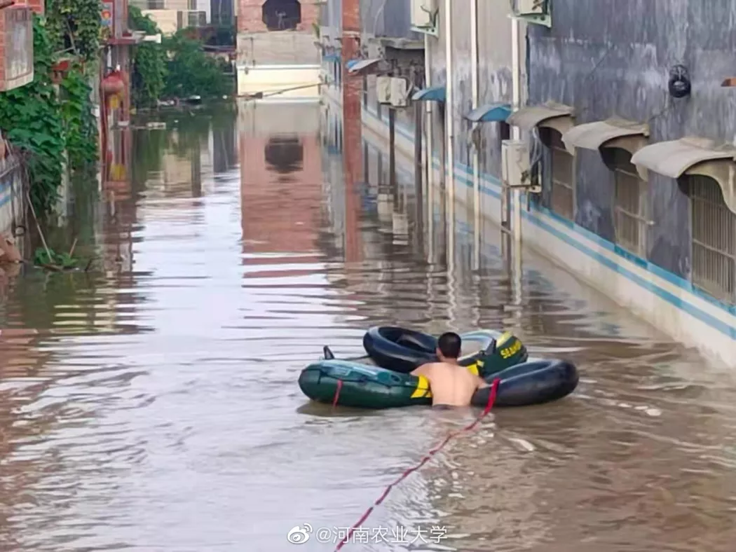 农大人的身影在前，我们“豫”难而上