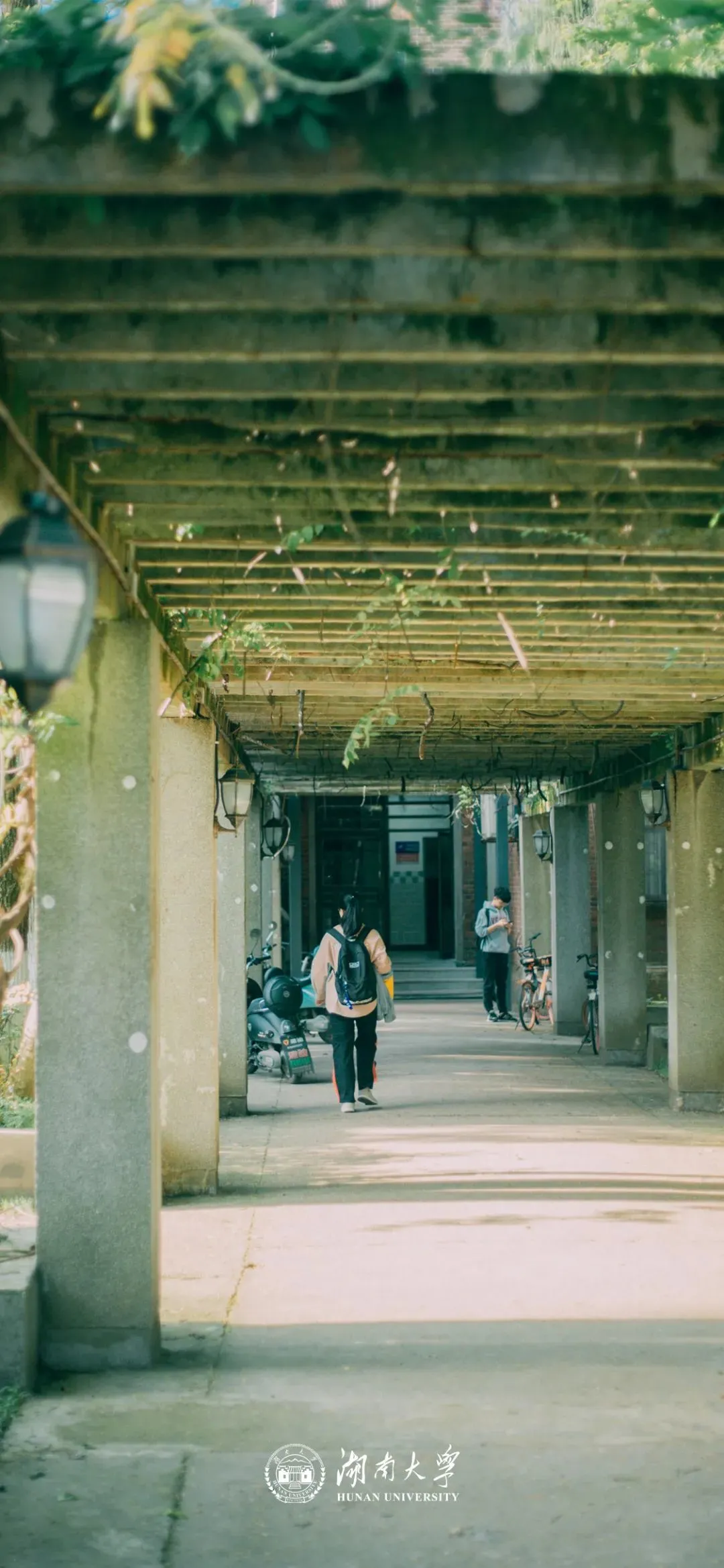 岳麓山下的千年名校——湖南大学