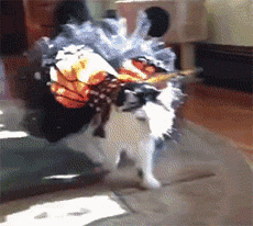 2020版最新法官、检察官表情大全！哈哈哈