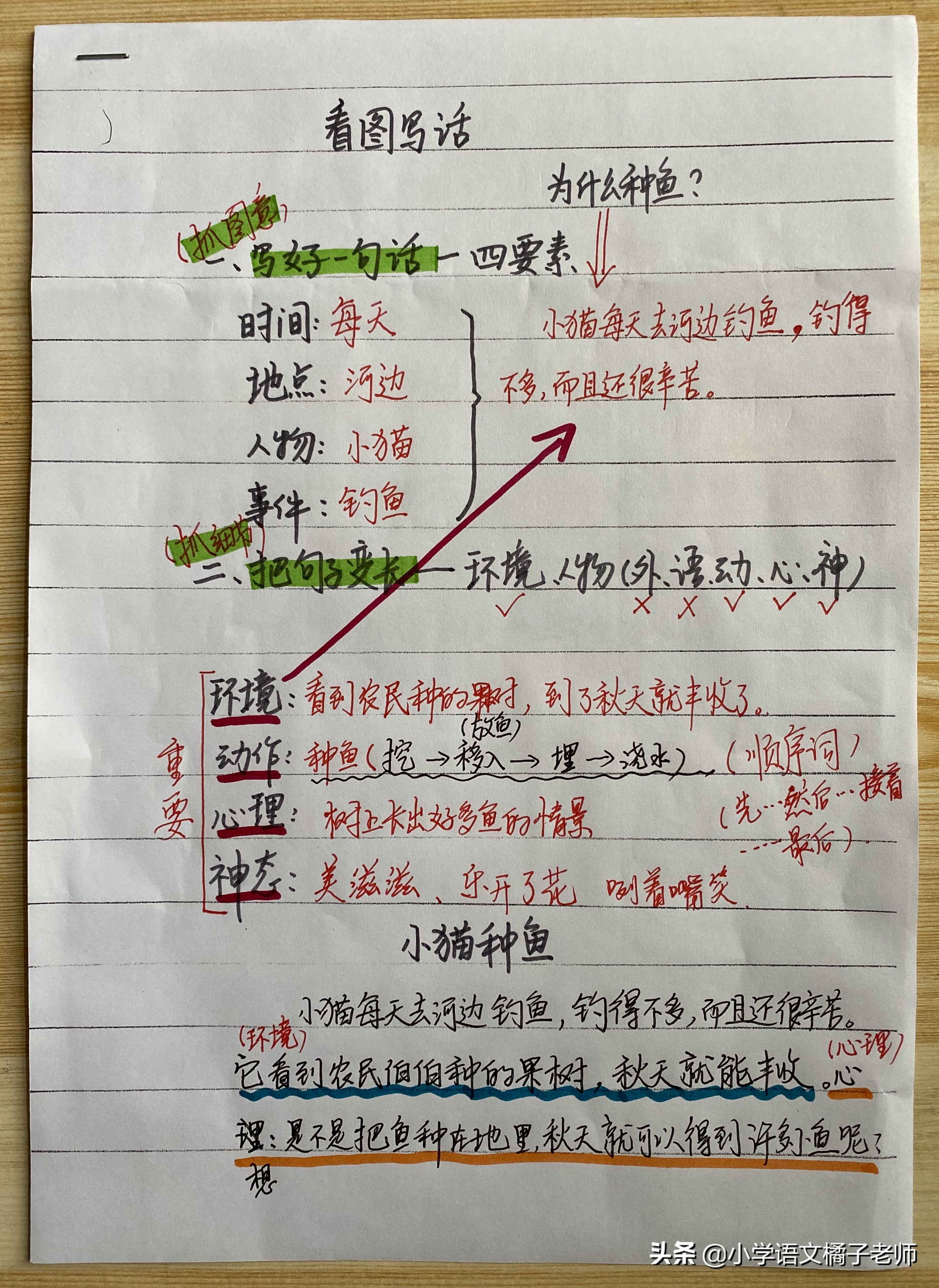 看图写话《小猫种鱼》语言故事，教会你家孩子一个道理