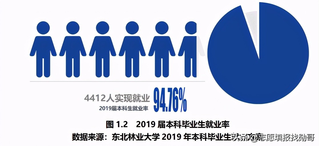 江苏这所“普通”院校表现亮眼，3个学科进入全国前五，实力超211