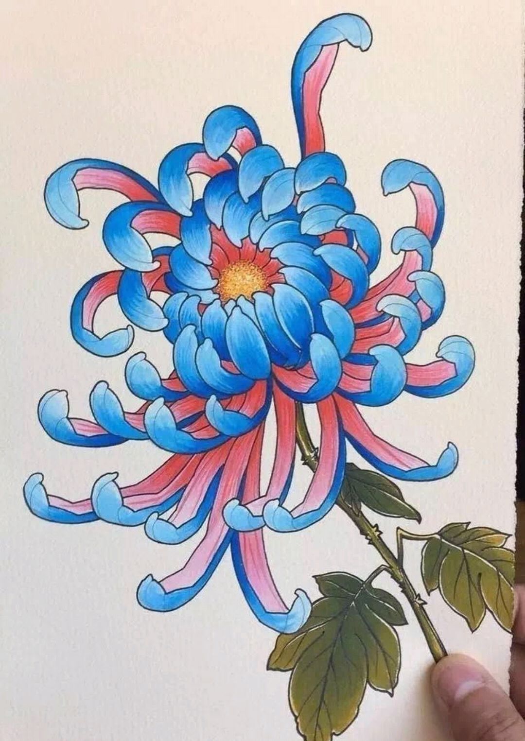 传统纹身图案寓意第十六集:梅花 菊花 荷花 牡丹