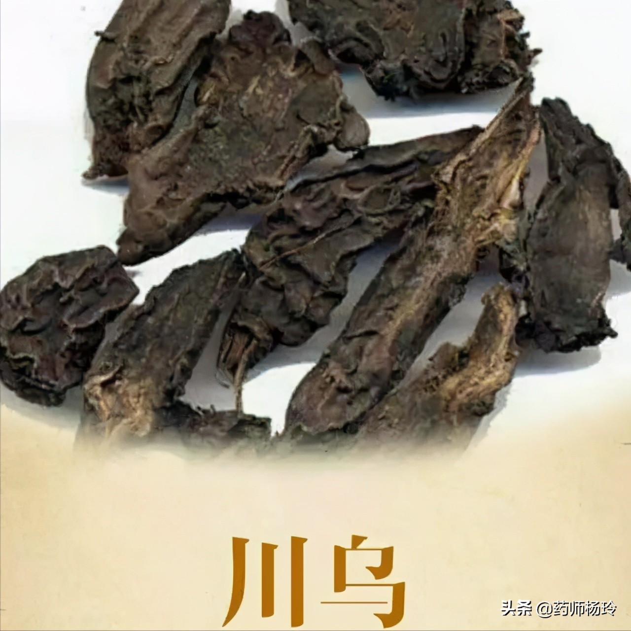 1.中药本身具有肾毒性