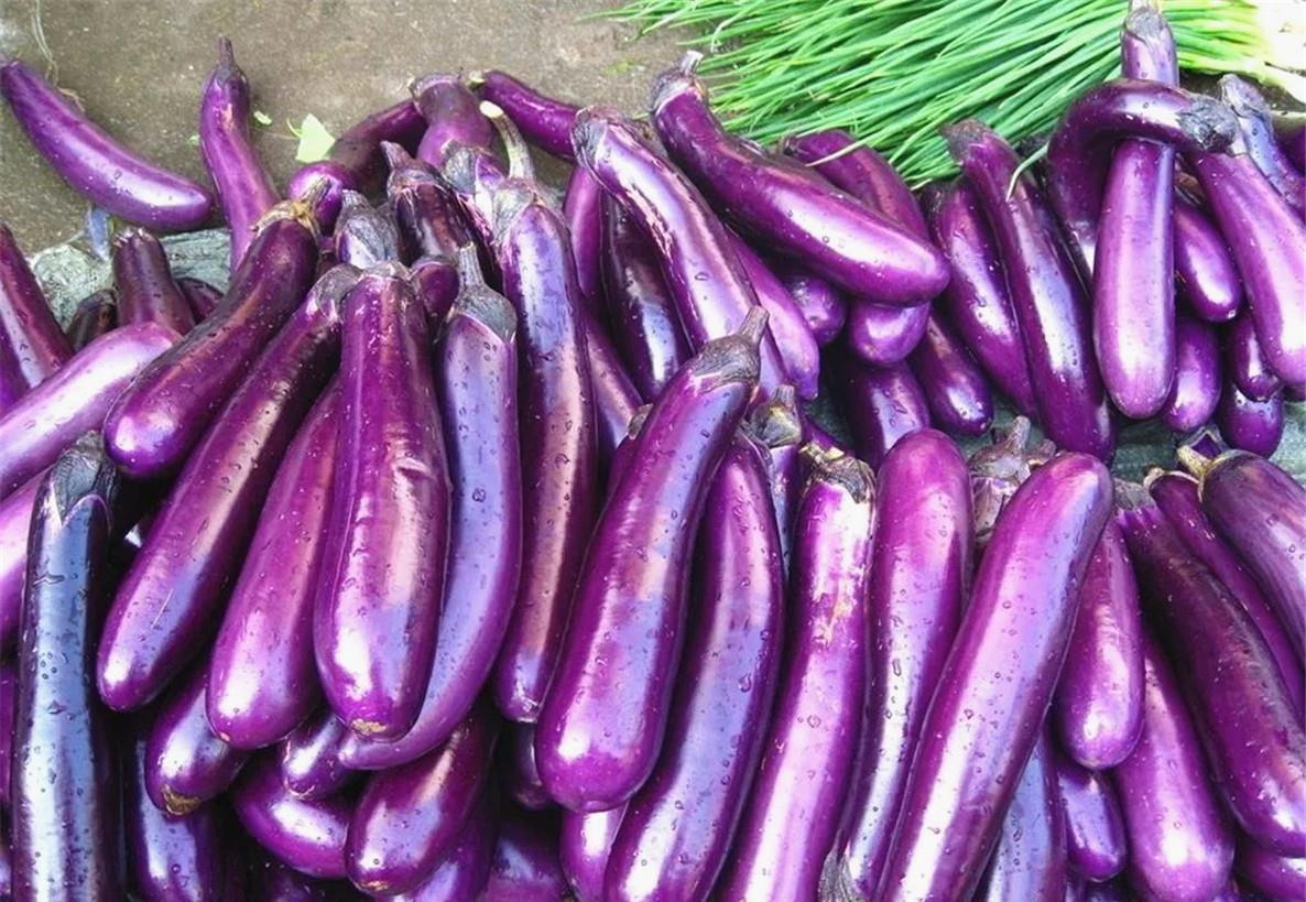 买茄子,挑"长茄"还是"圆茄"?区别挺大,弄懂再买少吃亏