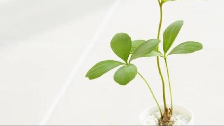 从两所高校招聘辅导员说起