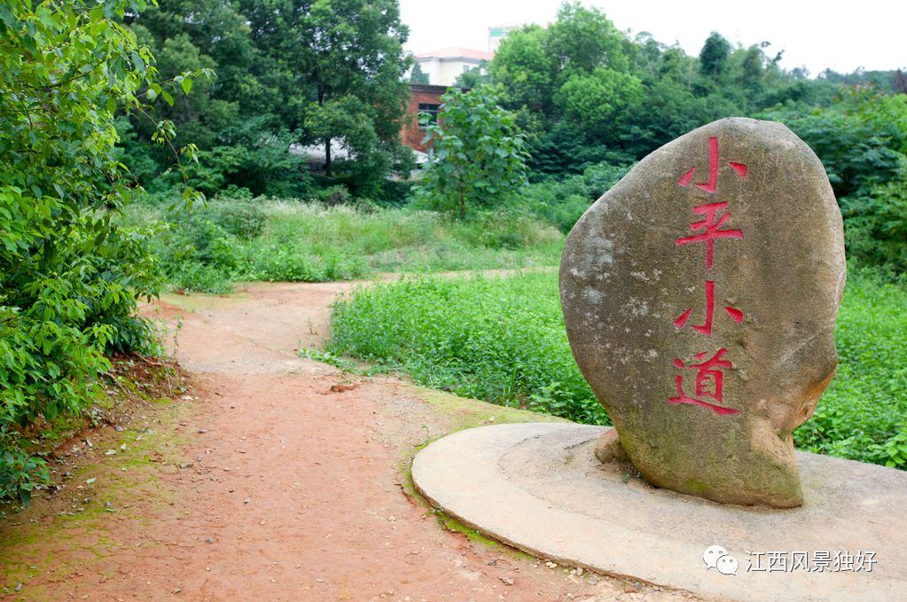 朱 虹：江西十景 美轮美奂（二）