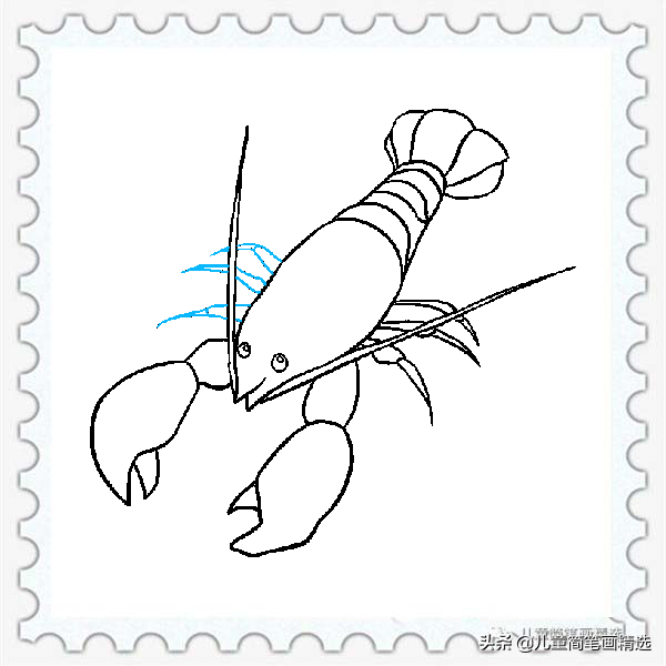 儿童简笔画精选-如何画一只龙虾（Lobster）