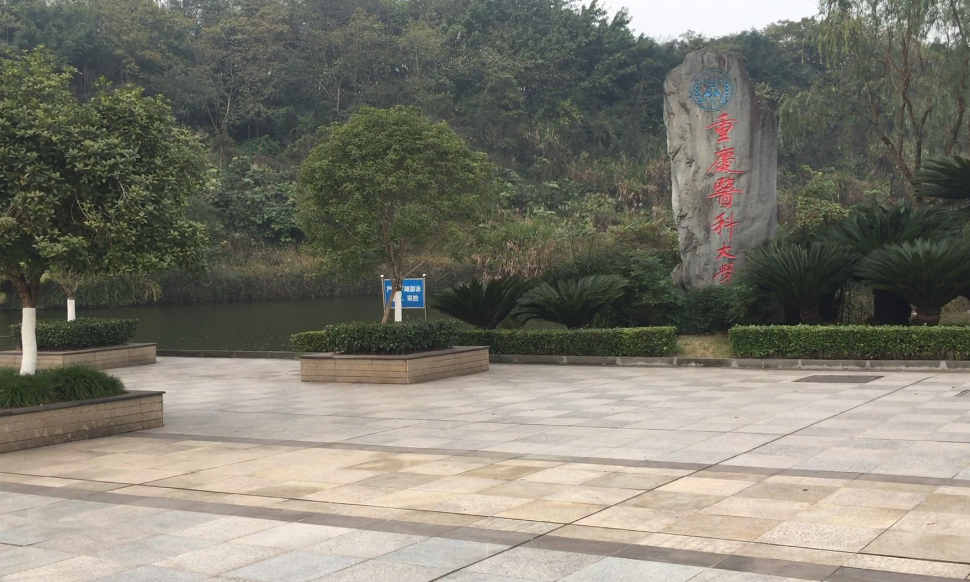 重庆医科大学录取4027人，复读生占12%，川渝两地25所中学占989人