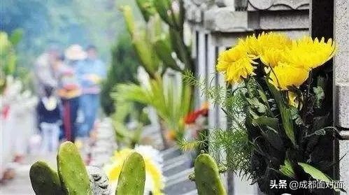 成都殡葬服务黑中介被整治 十家违规机构遭查处