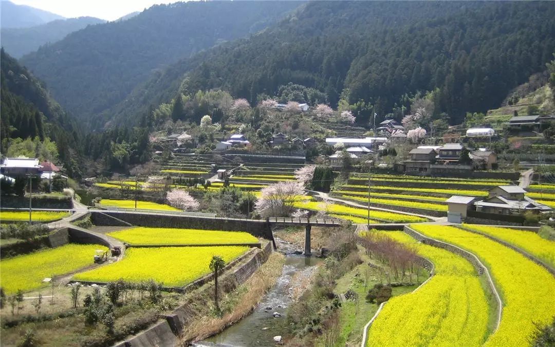 乡村振兴，试看日本神山町的“传奇蜕变”