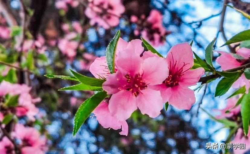 100个形容风景优美的成语，让我们的心情一起美起来！