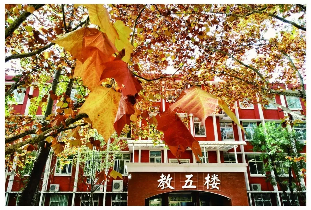 北京“超美”高校：地铁直达校门，绿化率46%，“校花”数量称霸五道口！