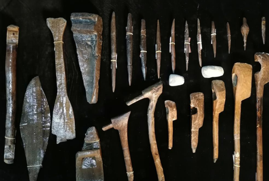 从5万年前的2个人发展到现在76亿人，地球上共出现过多少人？