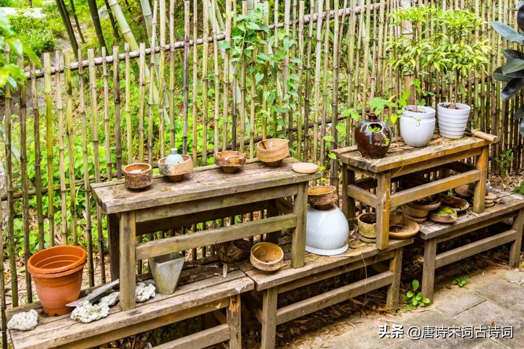 青山修竹矮篱笆,仿佛林泉隐者家
