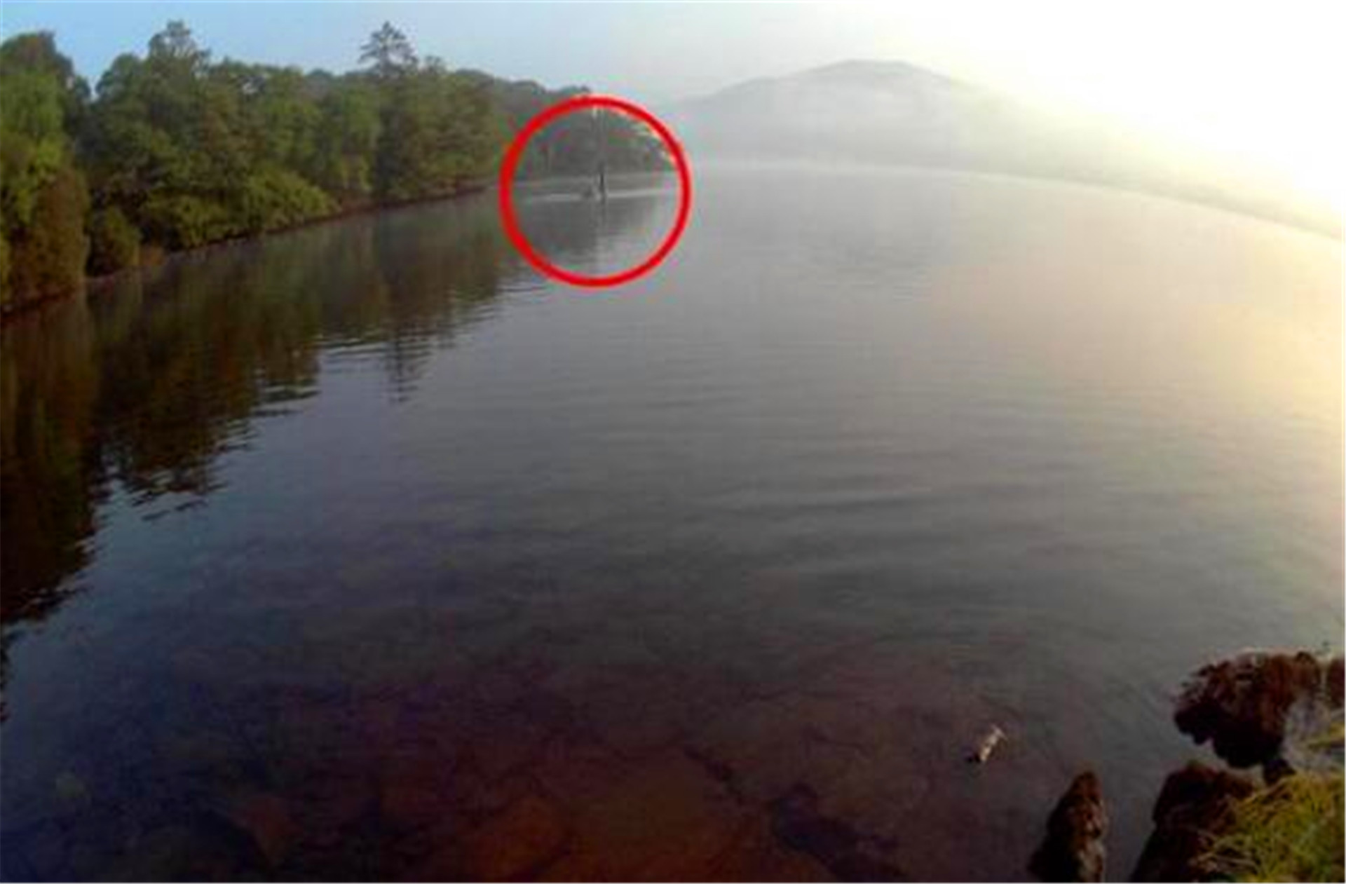 新疆湖中出现"水怪",牛羊被拖走无人敢靠近,专家看后揭晓答案