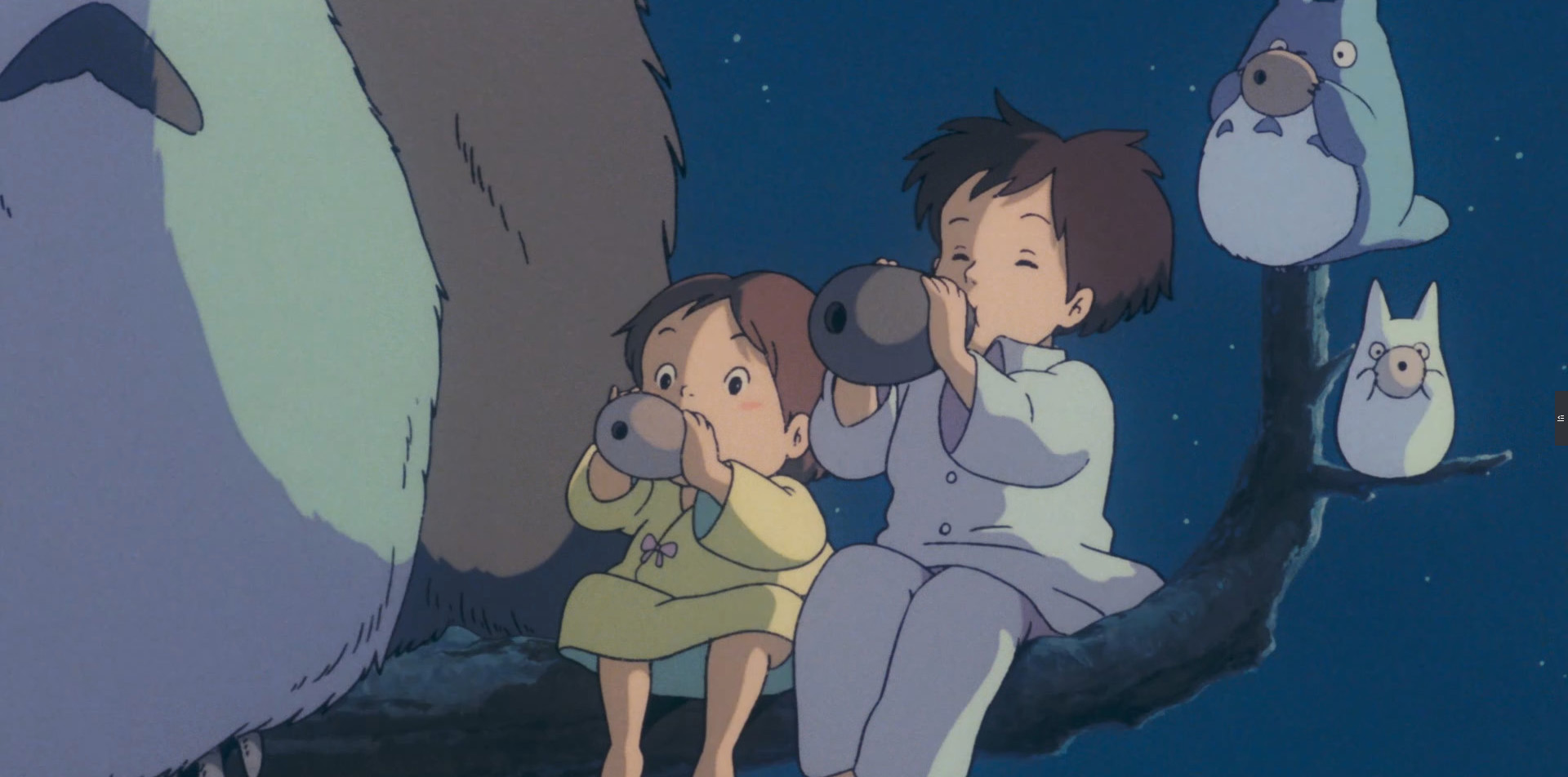 龙猫电影背后的故事寓意 _飞翔号