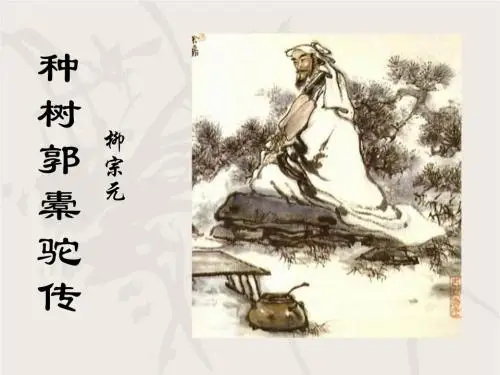 种树郭橐驼传翻译及原文