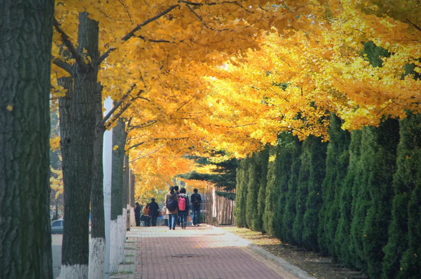 高考动态！东北高校新增金融科技专业，在北京投放优势特色专业！